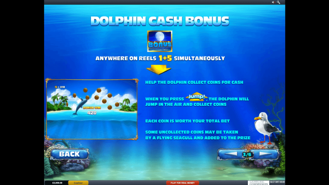 Характеристики слота Dolphin Cash 3