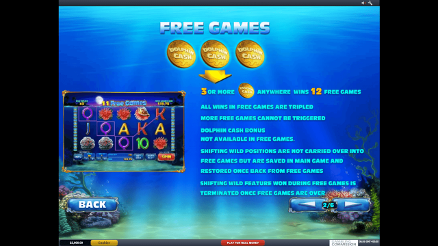 Игровой интерфейс Dolphin Cash 2