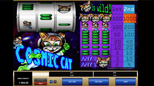 Бонусная игра Cosmic Cat 7