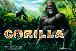 Gorilla